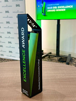 DIID Excellence Award_news image