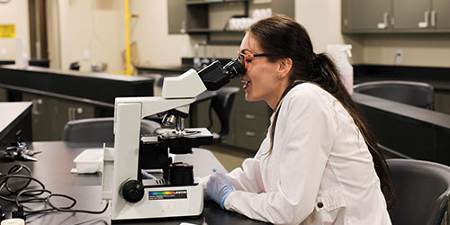 A female student using a microscope